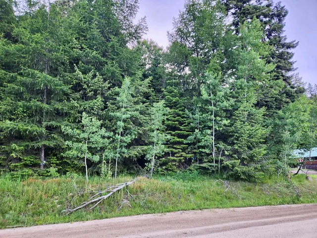 $309,000 | 1457 West Mountain Road, Unit 2A45, Cascade, ID 83611