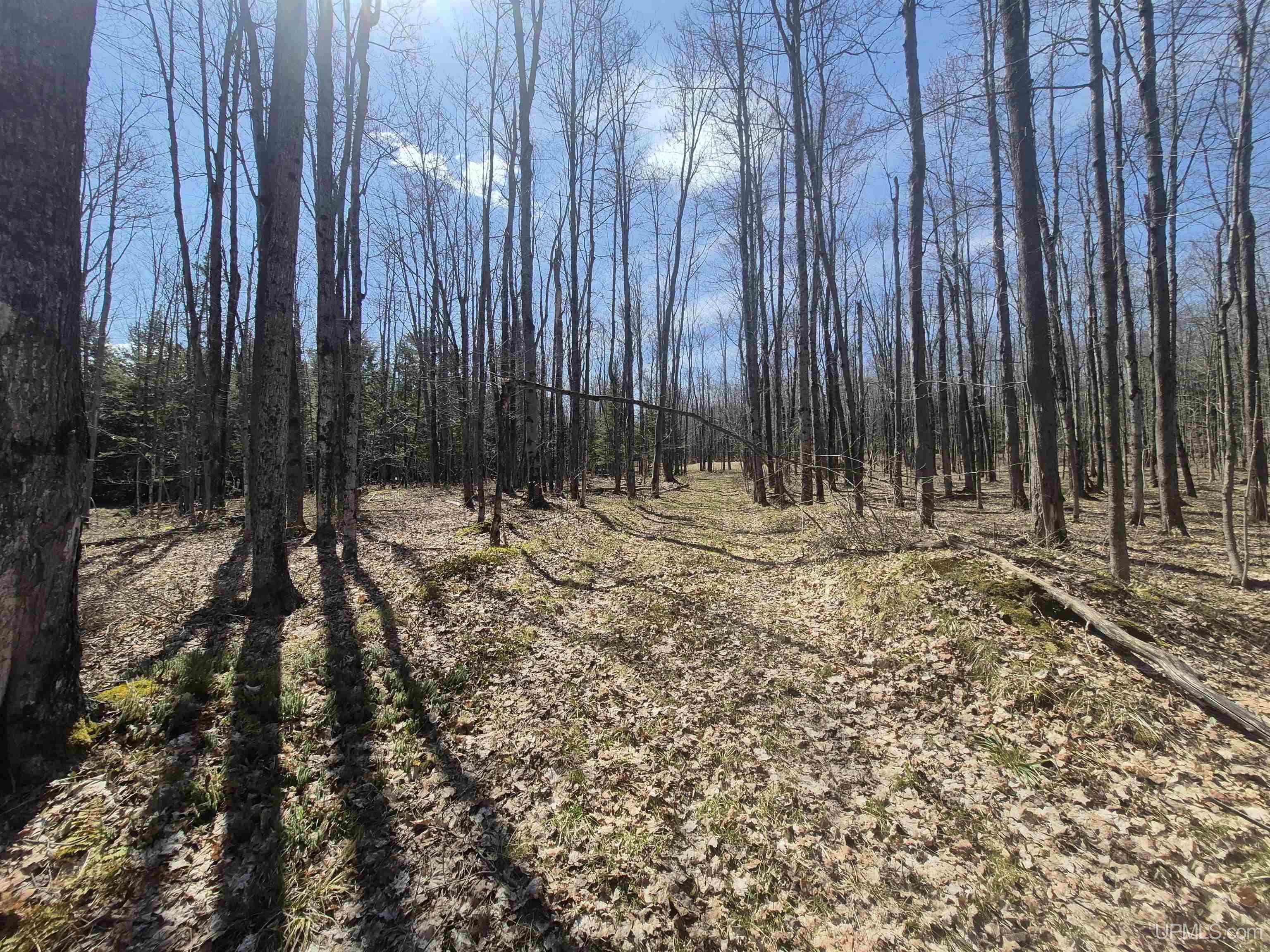 12-acres Salmon Road L'Anse, MI 49946 - Photo 36 of 39