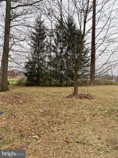 103 Clubhouse Road Delta, PA 17314 - Photo 2 of 2 Backyard view