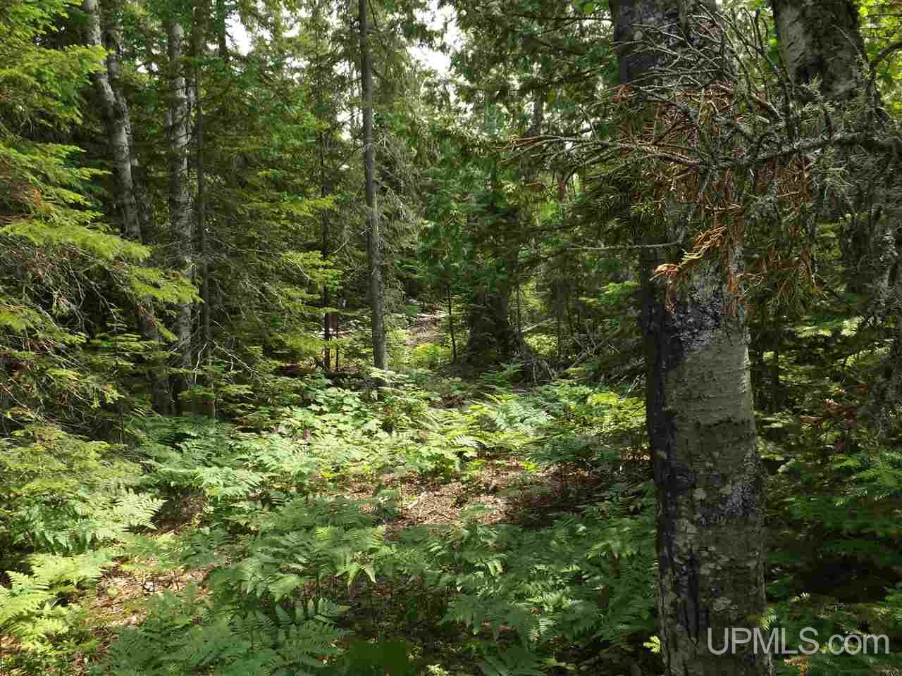 Seven Mile Point Road, Unit 10 Allouez, MI 49805 - Photo 20 of 20