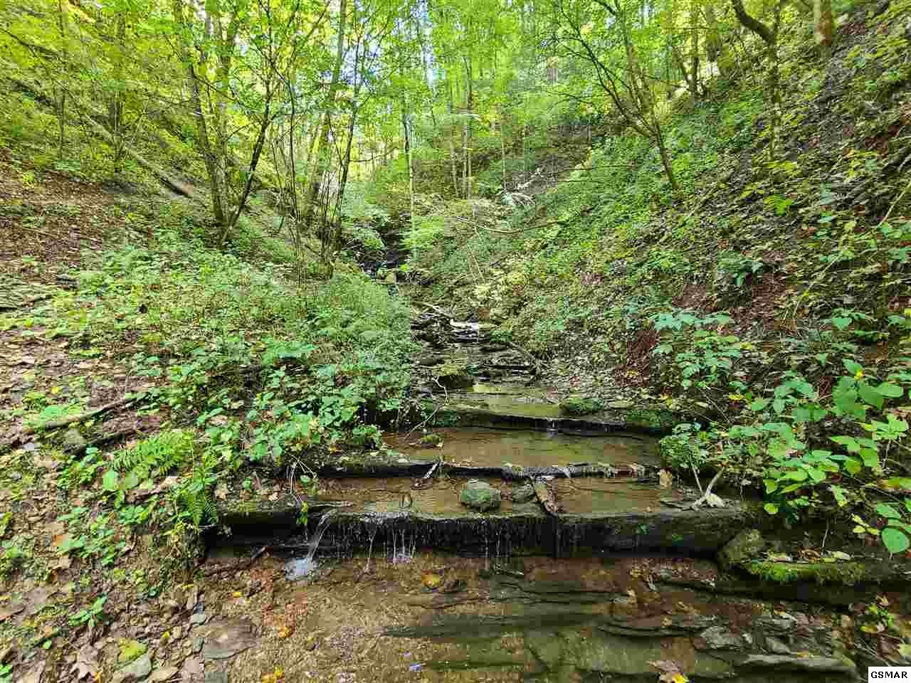 0 Jones Cove Road Cosby, TN 37722 - Photo 13 of 14 Gallery Image 13