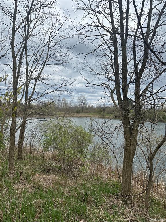 9330 Perry Road Goodrich, MI 48438 - Photo 5 of 6