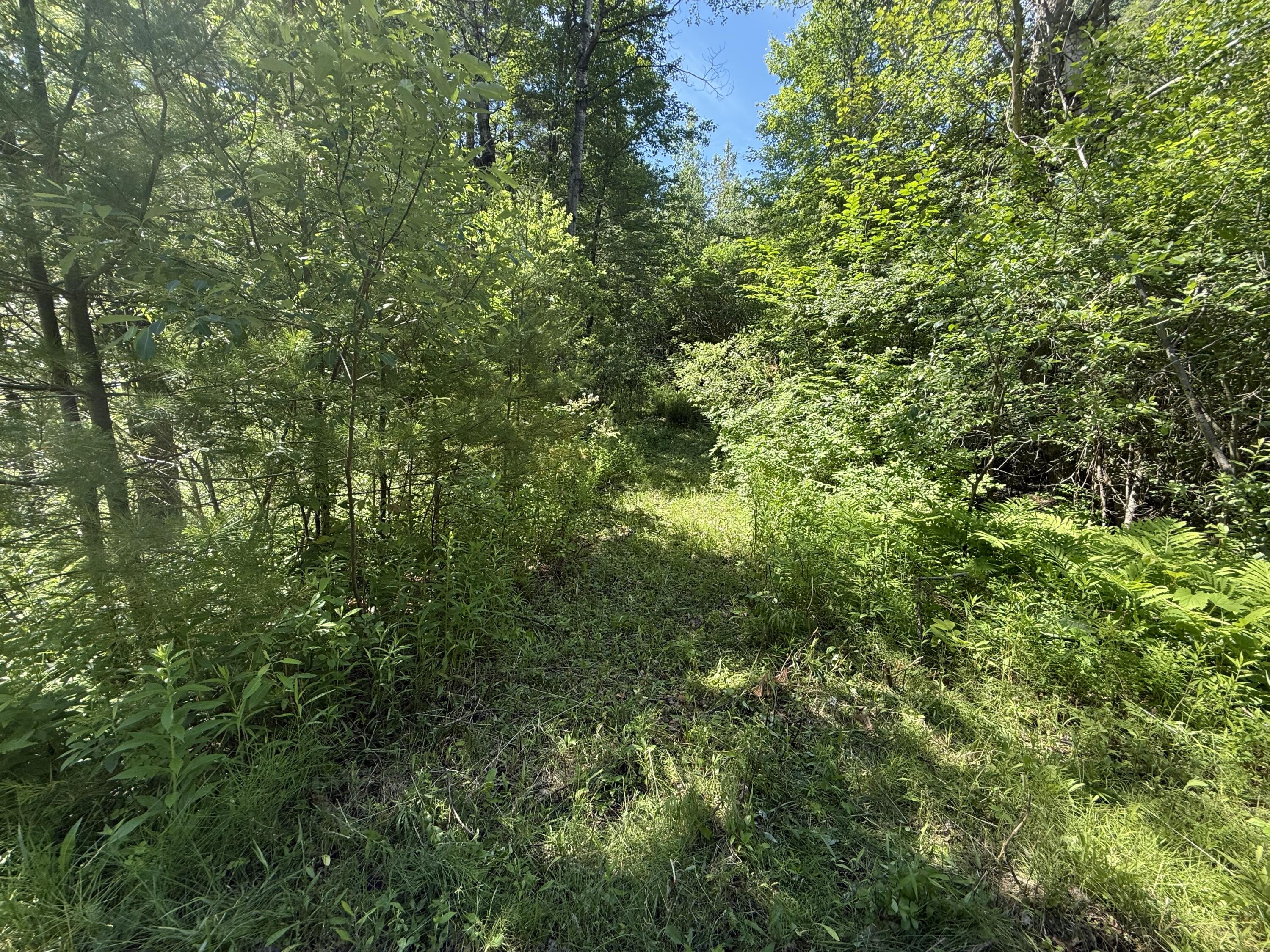 0 Quaker Highlands Road Peru, NY 12972 - Photo 5 of 9