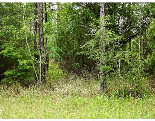 Lot 5 Lot Road Lucedale, MS 39452 - Photo 3 of 5 Additional Photo