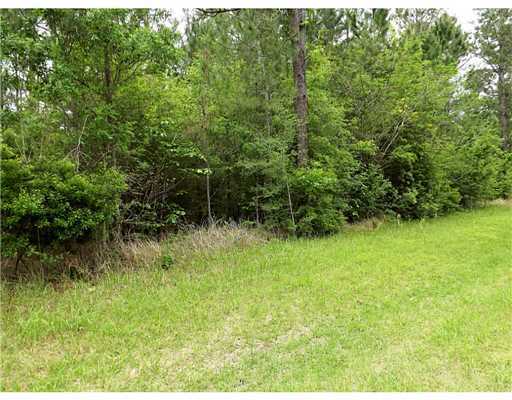 Lot 5 Lot Road Lucedale, MS 39452 - Photo 4 of 5 Additional Photo