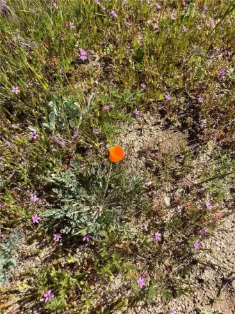 $450,000 | 0 Lebec, Lebec, CA 93243