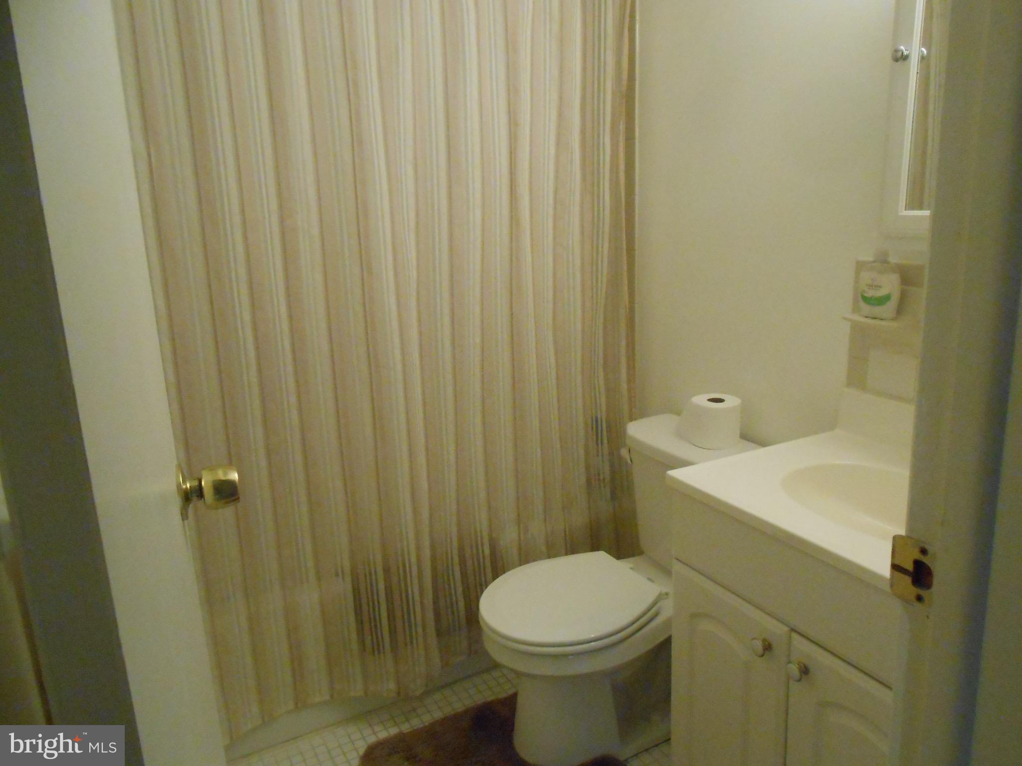 7121 Oliver Beach Road Baltimore, MD 21220 - Photo 24 of 25 LOWER LEVEL FULL BATH