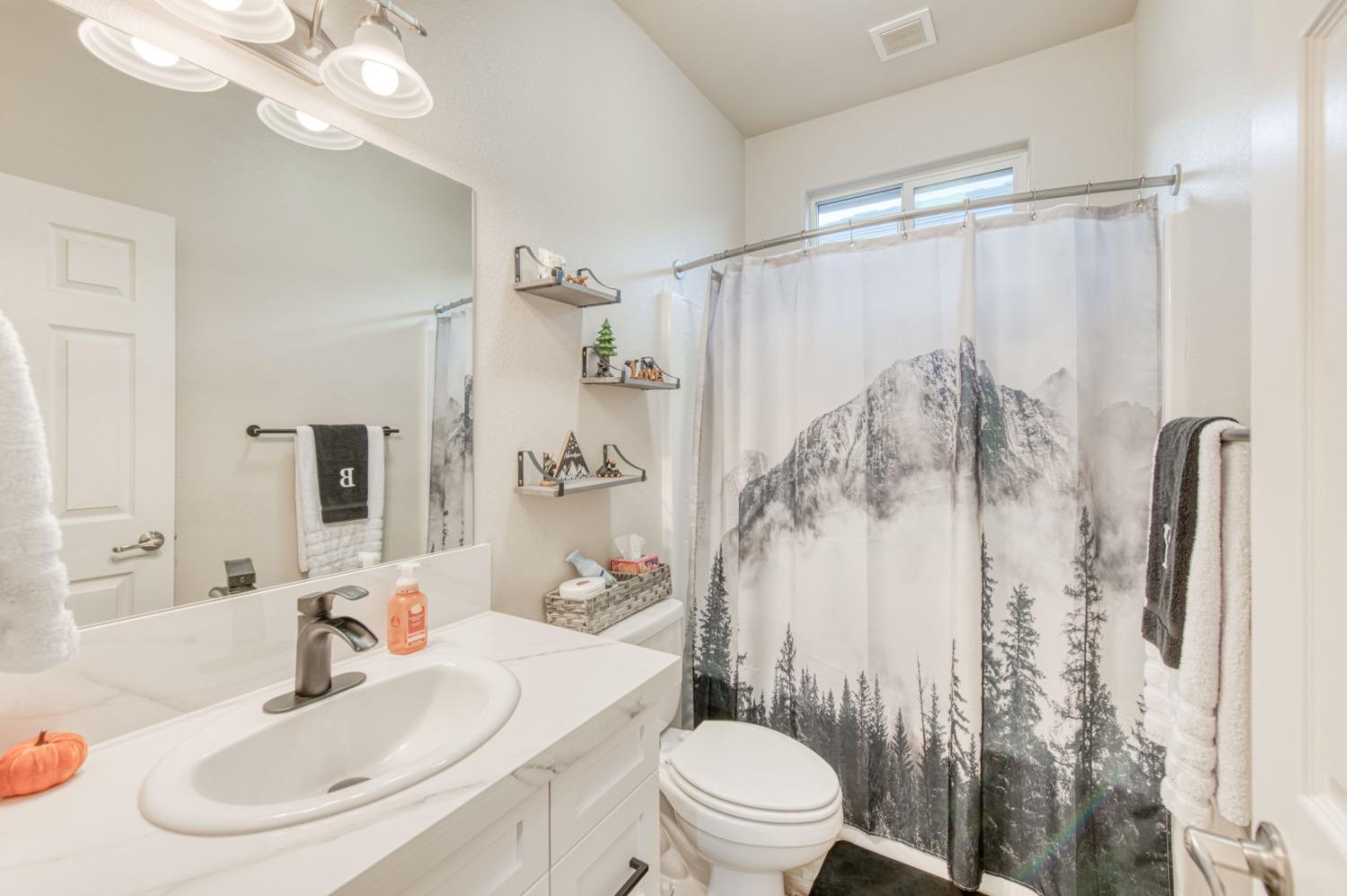 3334 Bellaire Avenue Clovis, CA 93619 - Photo 39 of 54 a bathroom with a sink toilet and shower