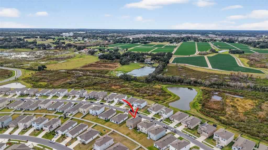 3842 Sunny Spring Street Plant City, FL 33565 - Photo 43 of 49