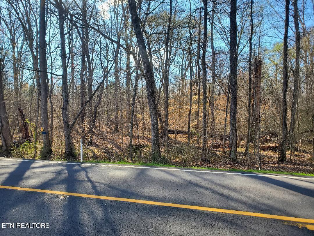 Lot 14 Highway 304 Decatur, TN 37322 - Photo 1 of 8 Lot 14