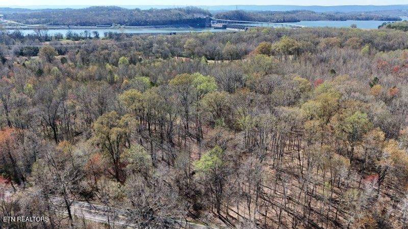 Lot 14 Highway 304 Decatur, TN 37322 - Photo 8 of 8 lots 14-18 pic