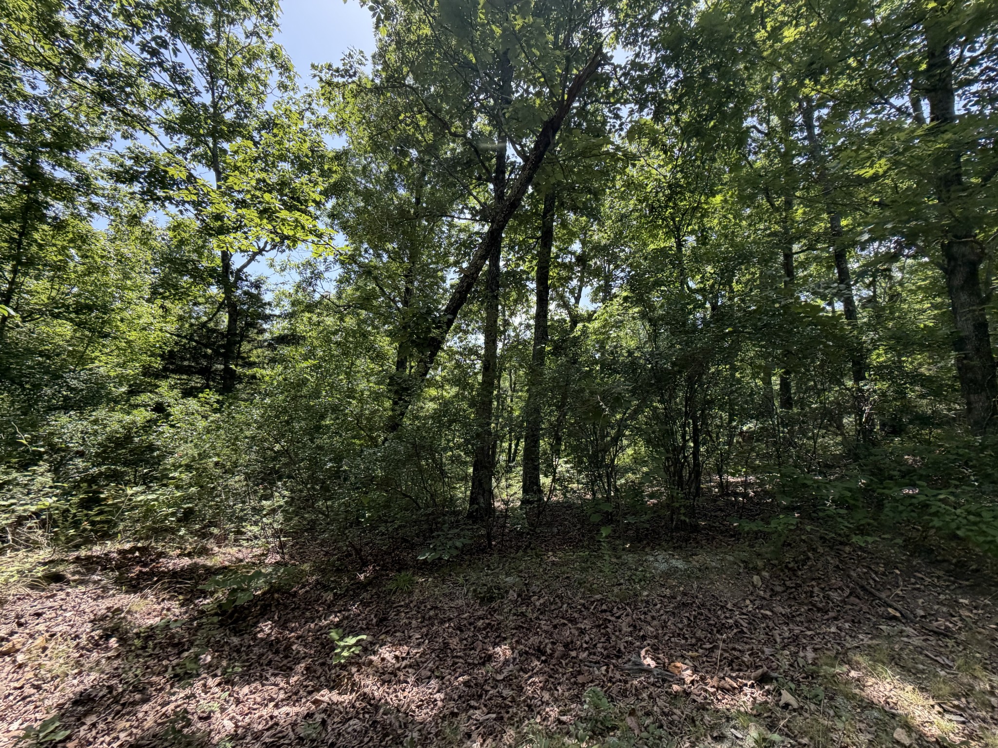 215 Bar Bee Road Hohenwald, TN 38462 - Photo 34 of 51
