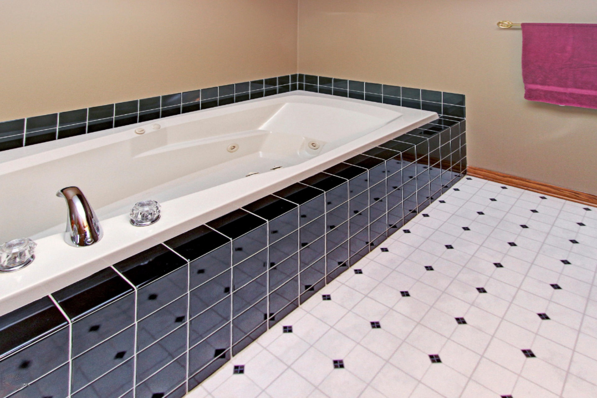 11152 Riley Street Zeeland, MI 49464 - Photo 16 of 30 jacuzi tub Riley