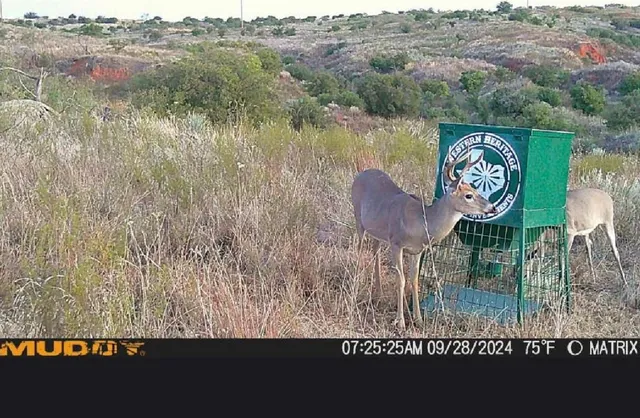 a view of city and ocean