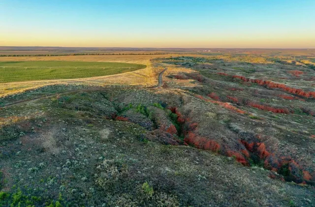 an aerial view of residential house and green space