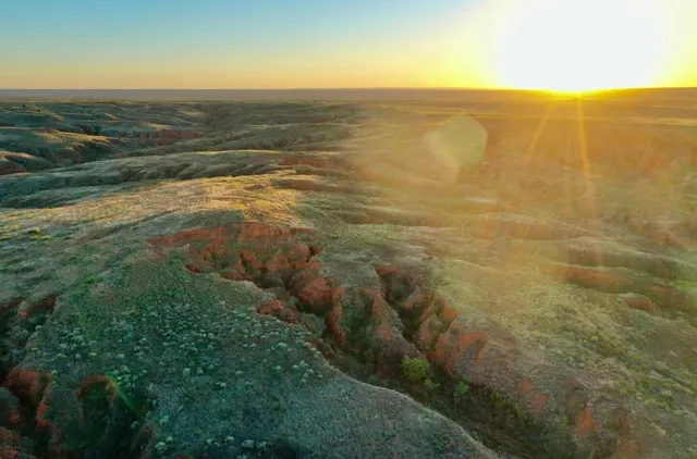 a view of an ocean from a yard