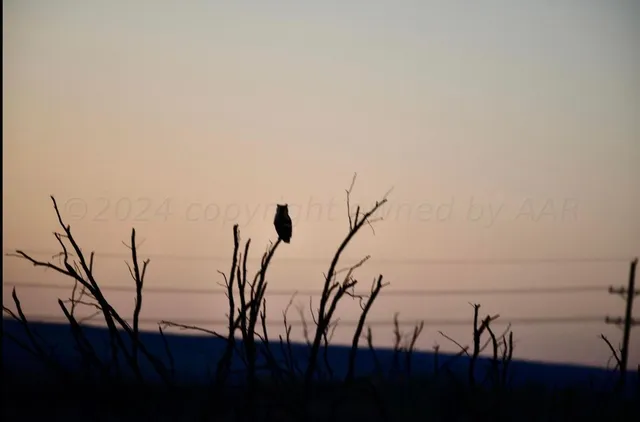 $1,115,550 | 1041 Fm, Memphis, TX 79245