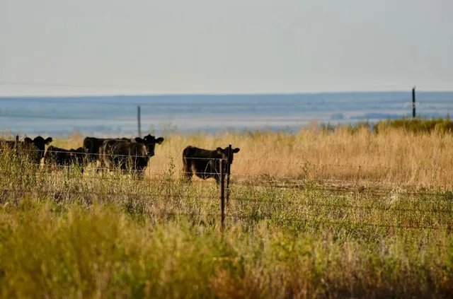 $1,115,550 | 1041 Fm, Memphis, TX 79245