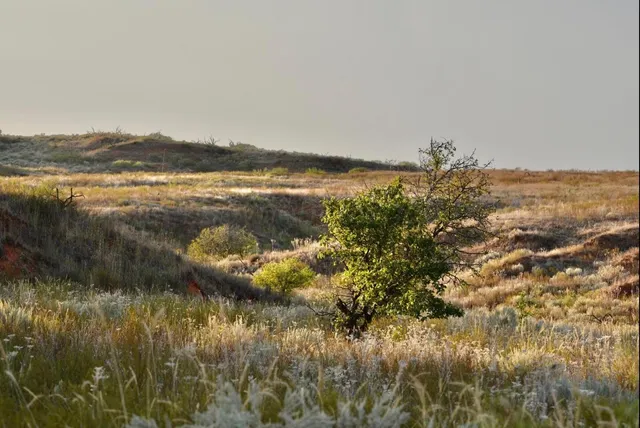 $1,115,550 | 1041 Fm, Memphis, TX 79245