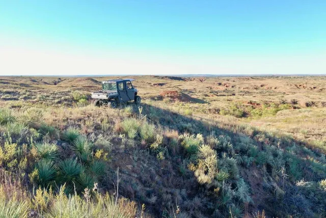 a view of city and ocean