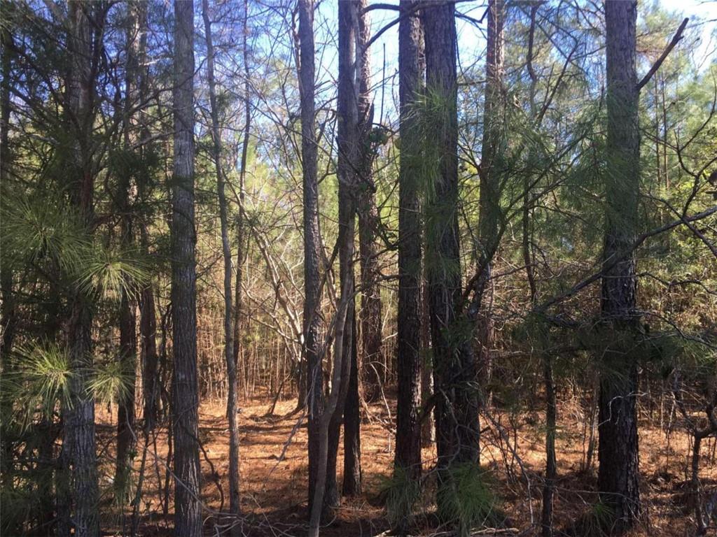 0 Leafmore Road Southwest Rome, GA 30165 - Photo 1 of 1 Gallery Image 1