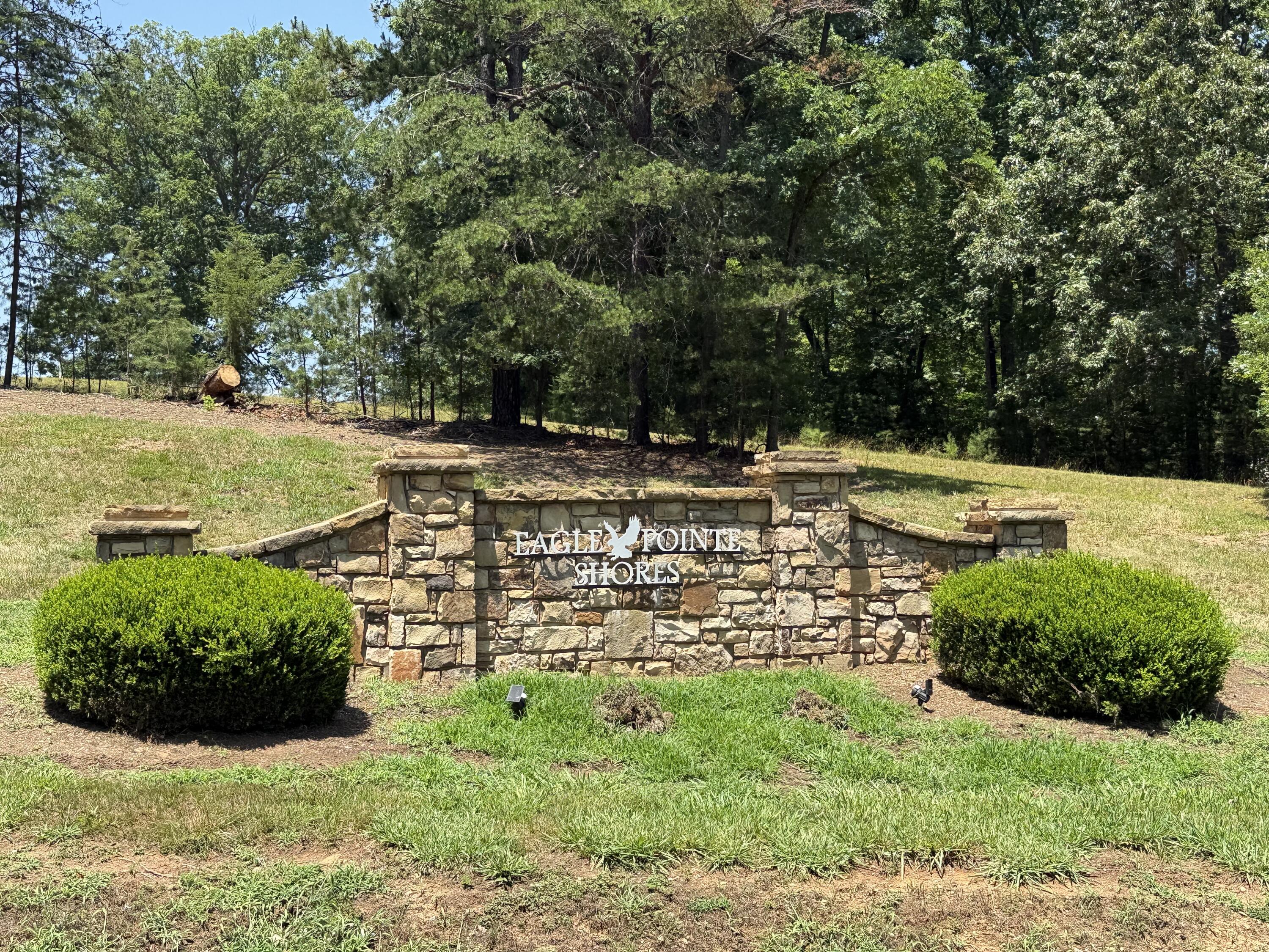 Lot 61 Garrison Ridge Pittsville, VA 24139 - Photo 11 of 14 IMG_9937