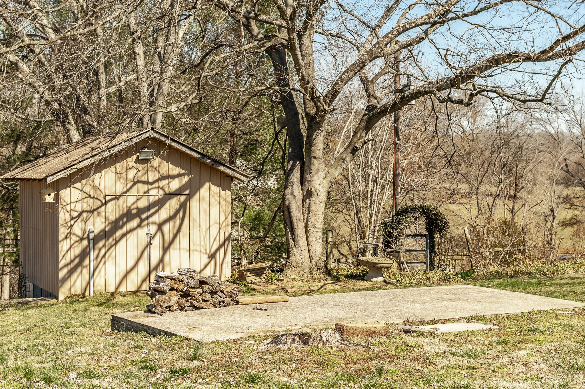 195 Cave Springs Road Lebanon, TN 37087 - Photo 54 of 70 a view of a yard with snow on the road
