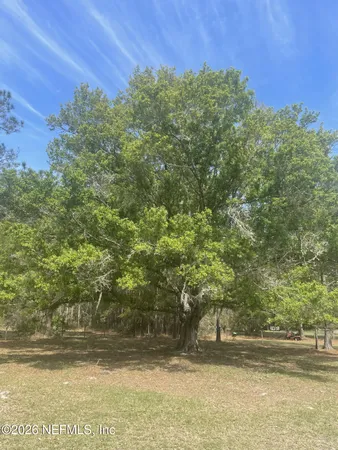 $379,500 | 524 Jill Street, Middleburg, FL 32068