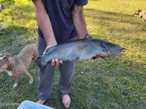 $379,500 | 524 Jill Street, Middleburg, FL 32068