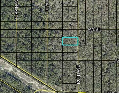 189 Ruth Avenue Hastings, FL 32145 - Photo 1 of 1 Gallery Image 1
