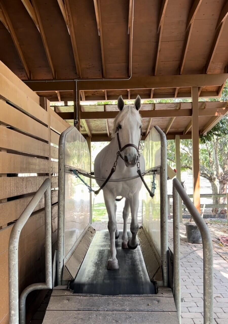 1711 Stallion Drive Loxahatchee, FL 33470 - Photo 15 of 23