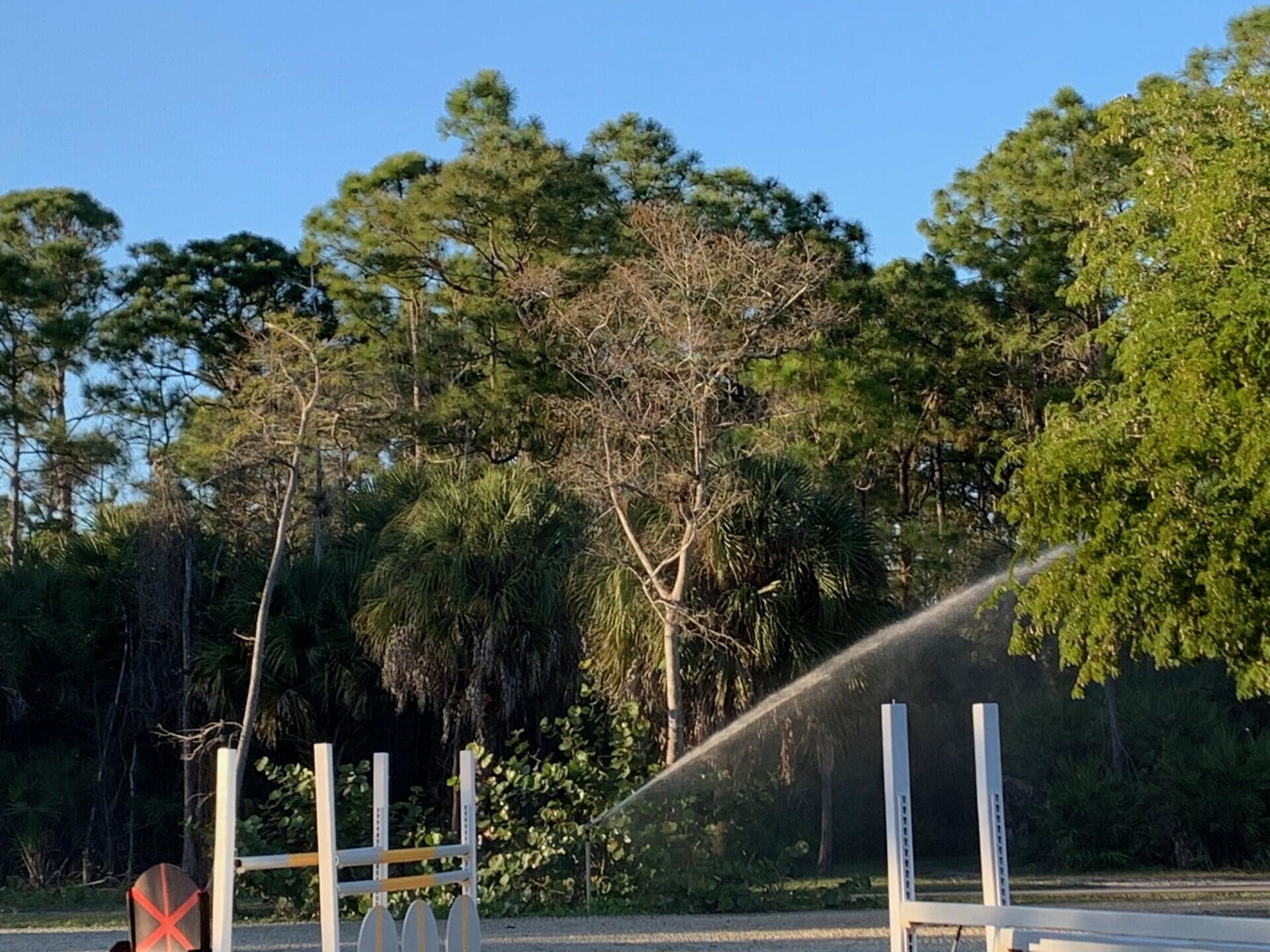 1711 Stallion Drive Loxahatchee, FL 33470 - Photo 19 of 23 a balcony with street view