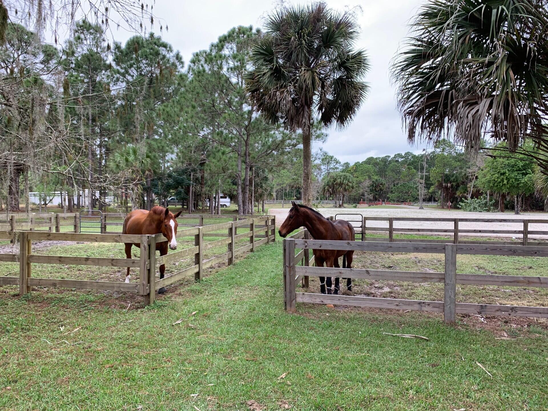 1711 Stallion Drive Loxahatchee, FL 33470 - Photo 2 of 23 a view of a park with a slide
