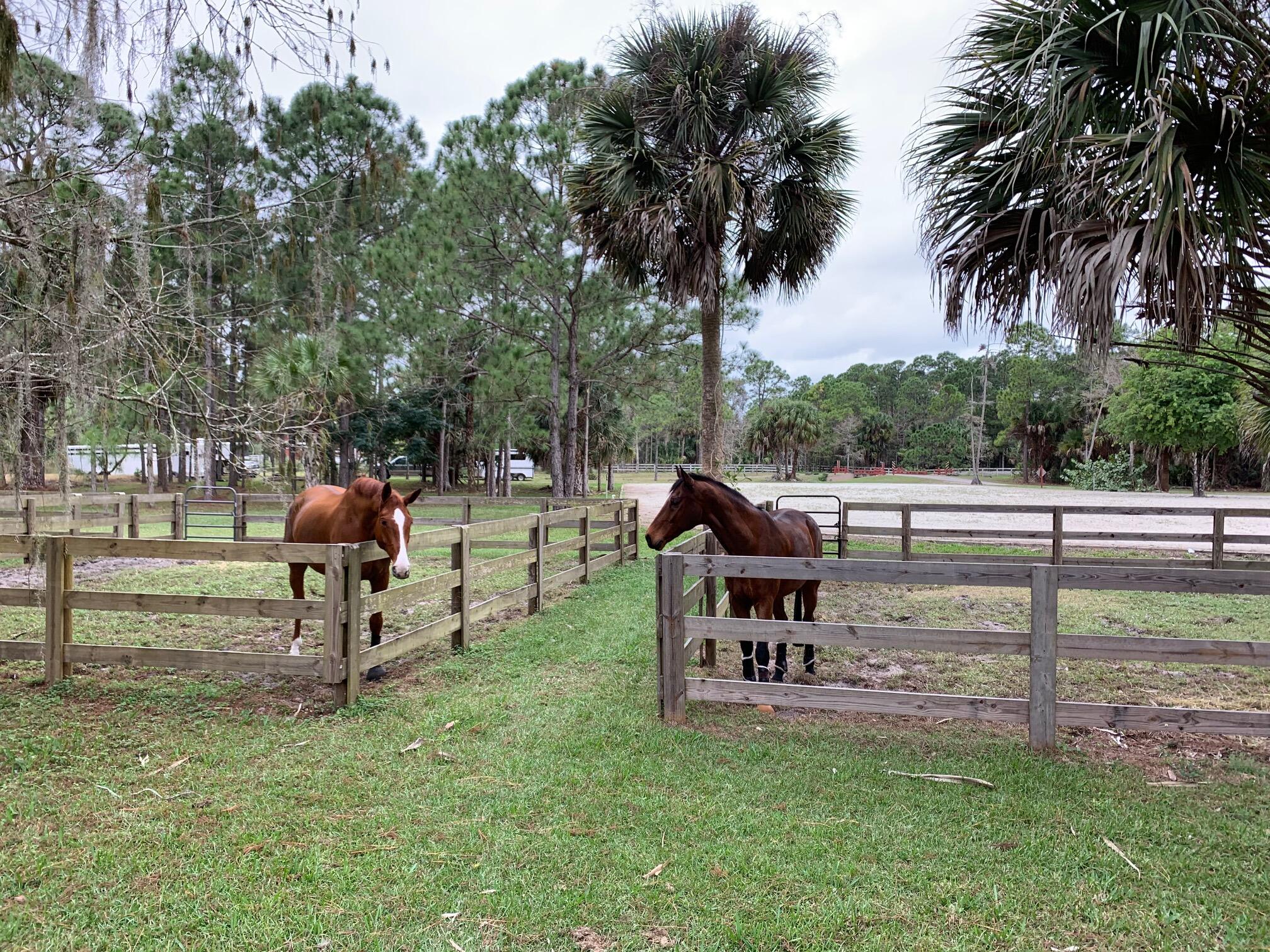 1711 Stallion Drive Loxahatchee, FL 33470 - Photo 22 of 23 a view of a park with a slide