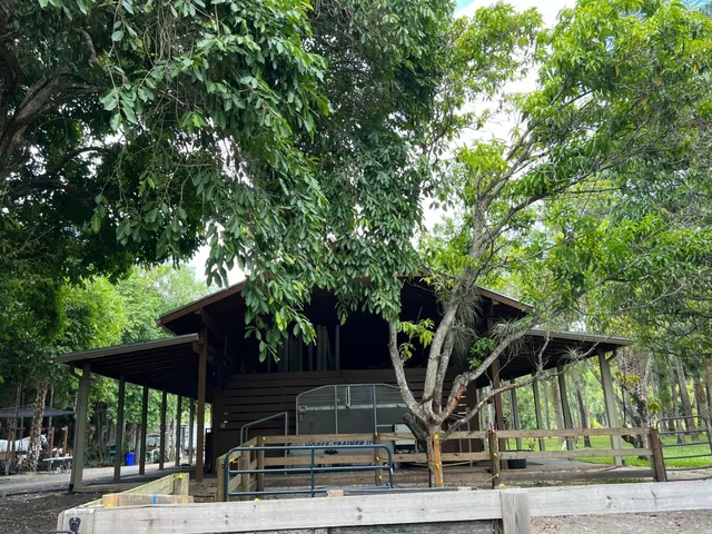 a view of house with tree s