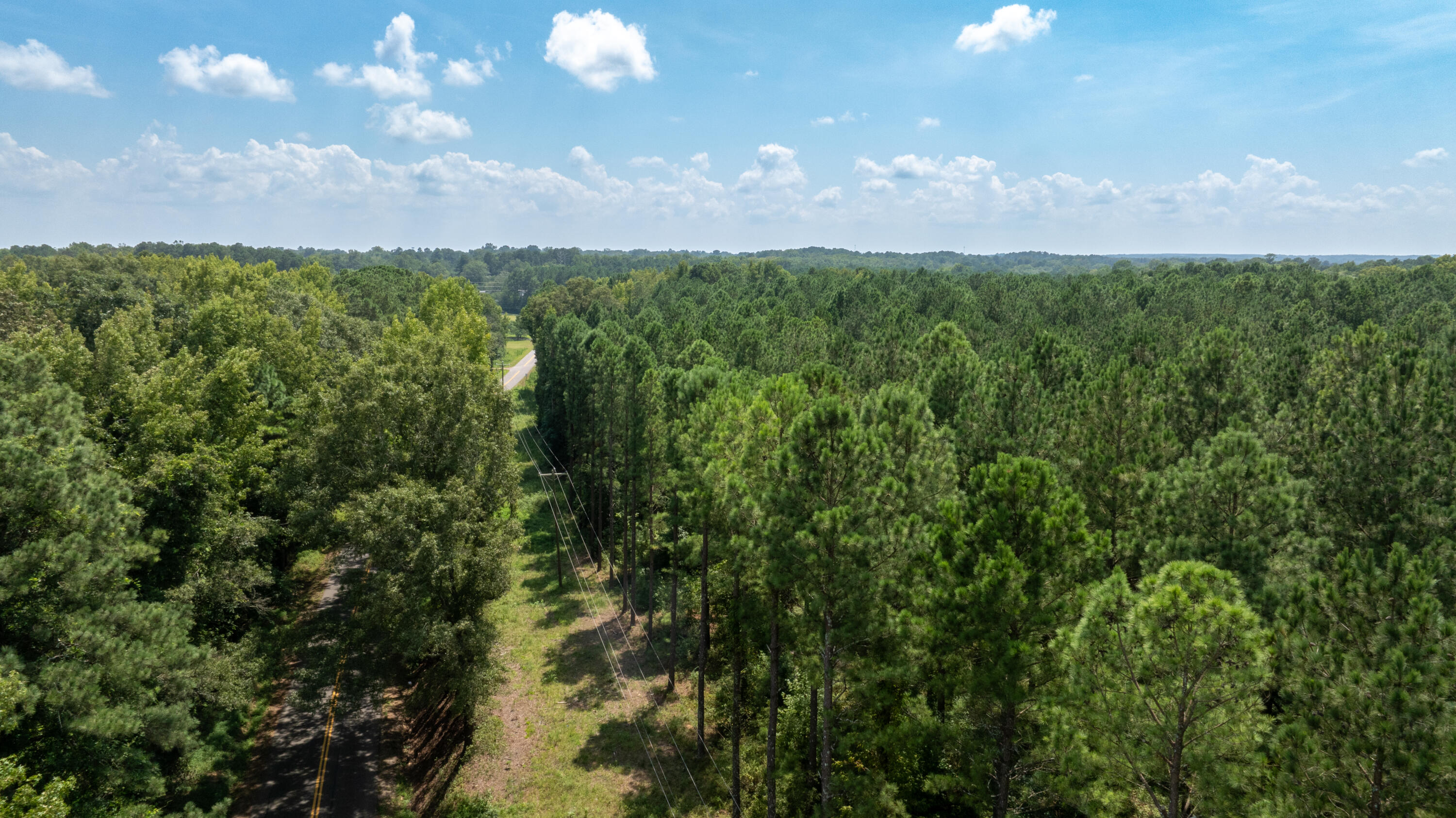 0 Roland Avenue Johnston, SC 29832 - Photo 5 of 10 5