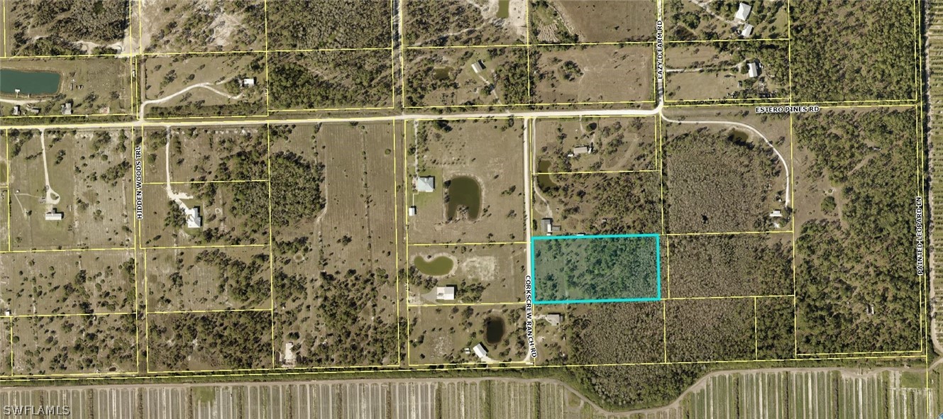 21351 Corkscrew Ranch Road Estero, FL 33928 - Photo 3 of 6