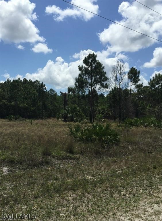 21351 Corkscrew Ranch Road Estero, FL 33928 - Photo 5 of 6 a view of a yard