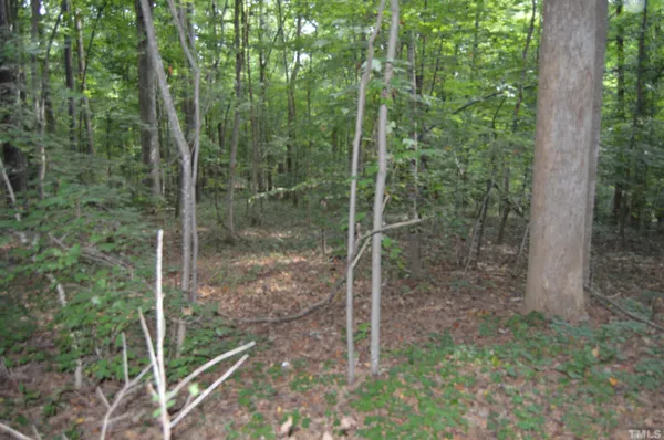 $70,000 | 0 Rex Place, Louisburg, NC 27549