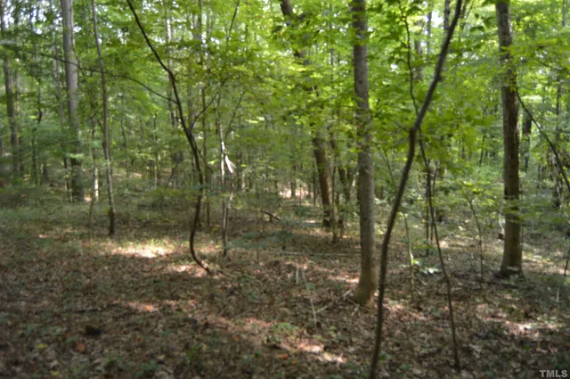 $70,000 | 0 Rex Place, Louisburg, NC 27549