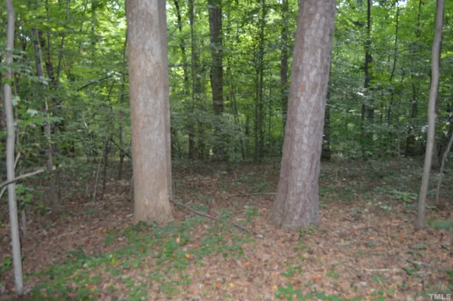 $70,000 | 0 Rex Place, Louisburg, NC 27549