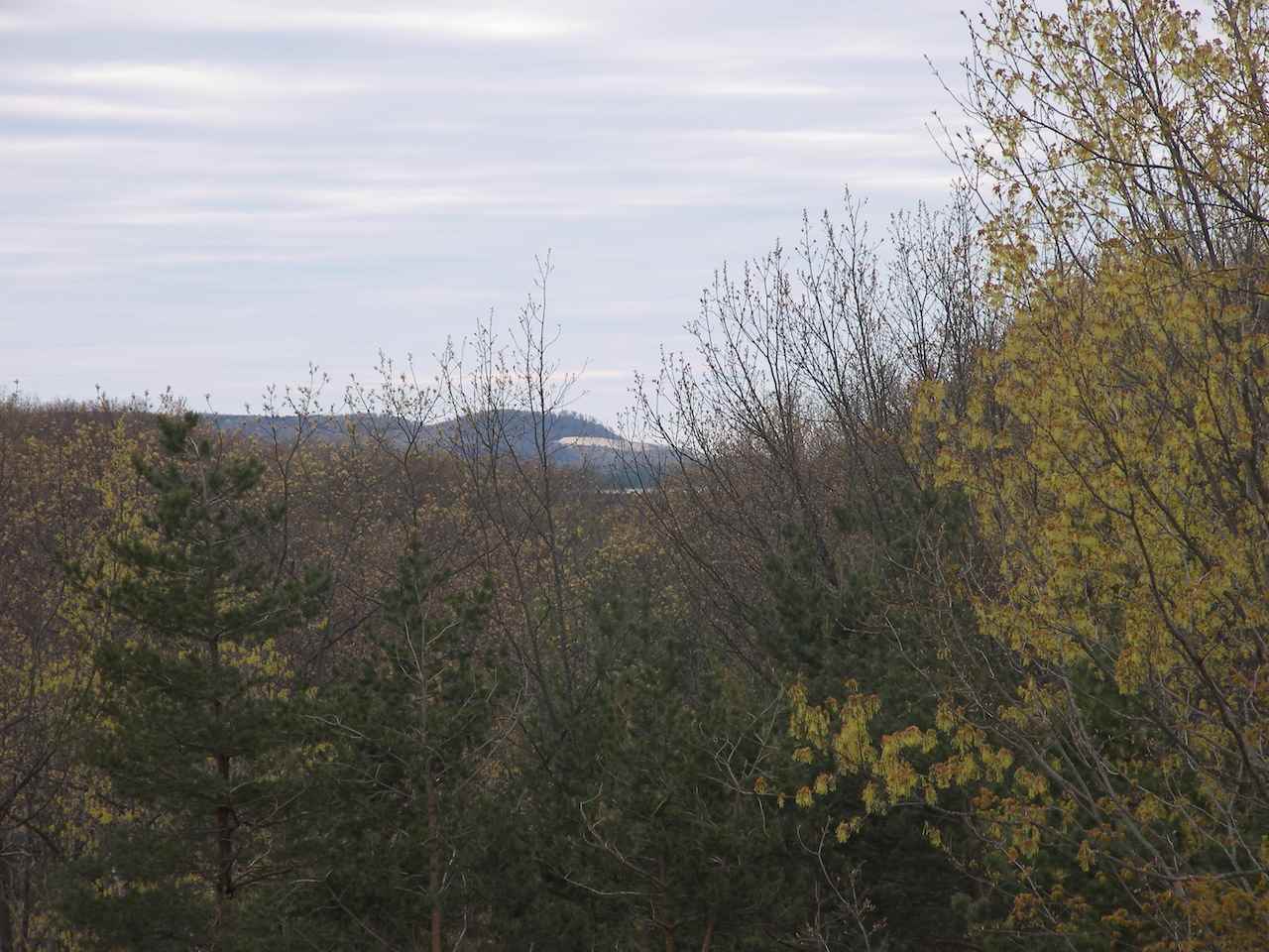 4380 South Sugar Loaf Mountain Road Cedar, MI 49621 - Photo 77 of 82 1831909-76.JPG