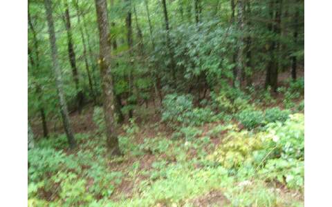 Cindy Cove Road Blairsville, GA 30512 - Photo 1 of 1