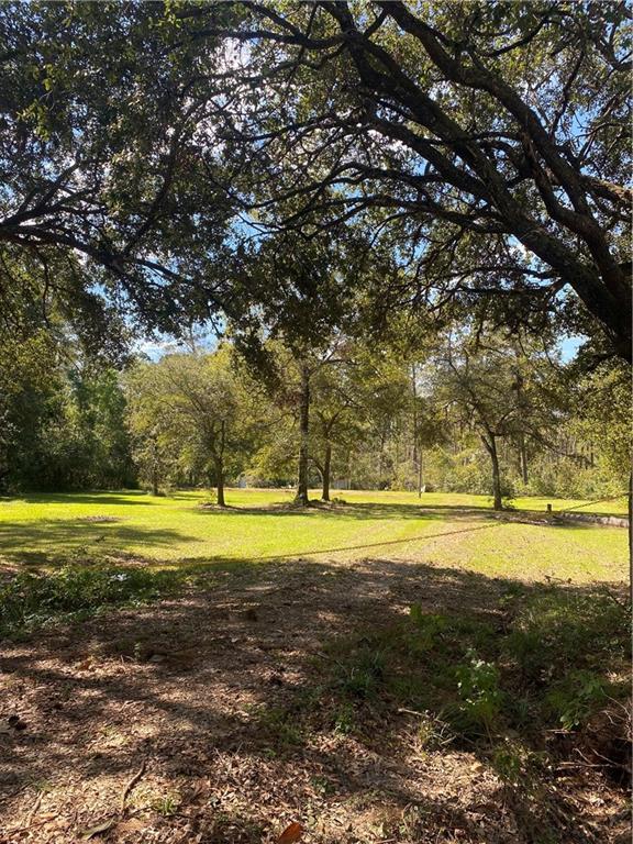 20249 Sister's Road Hammond, LA 70403 - Photo 3 of 5