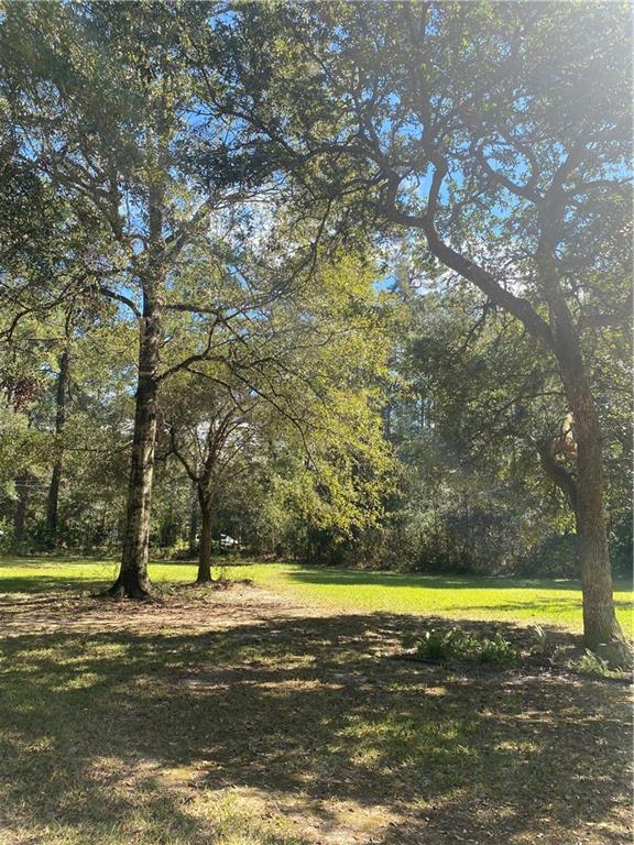 20249 Sister's Road Hammond, LA 70403 - Photo 4 of 5