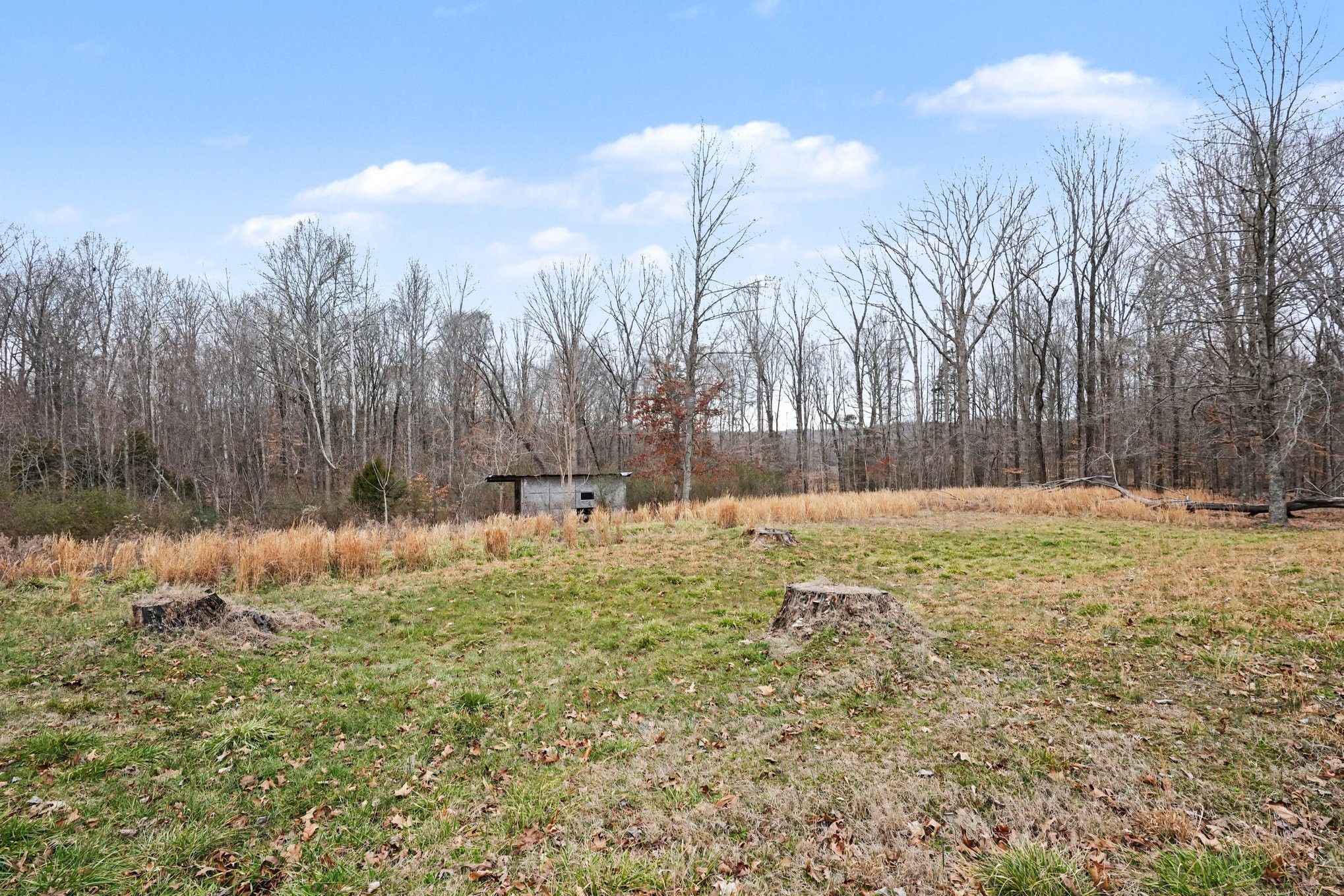 1323 Old Stage Road Charlotte, TN 37036 - Photo 23 of 25 a swimming pool with trees in the background