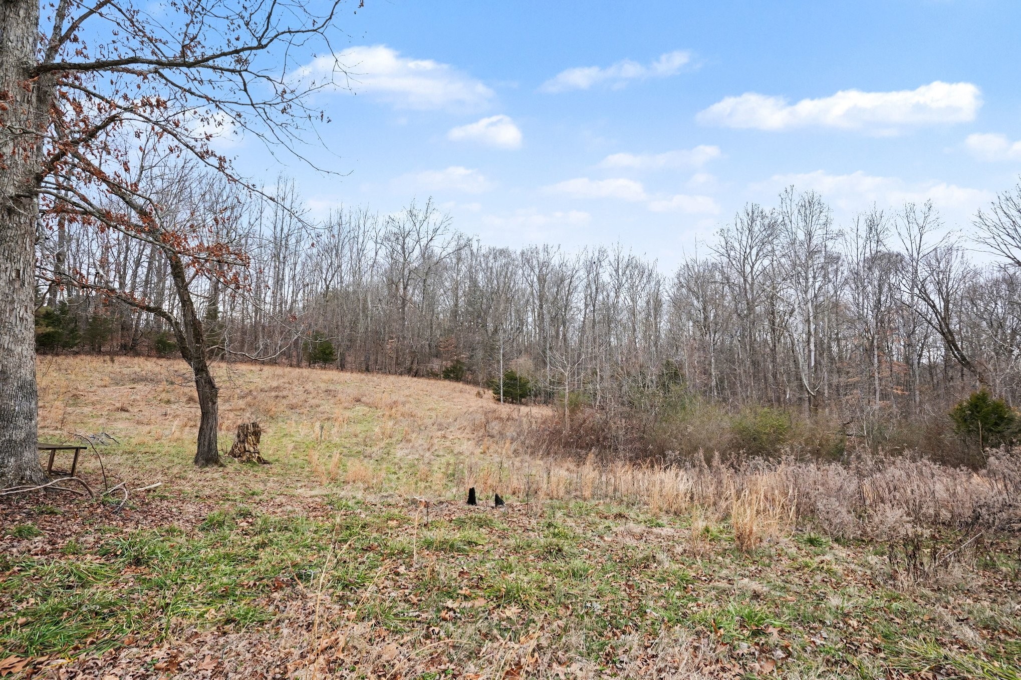 1323 Old Stage Road Charlotte, TN 37036 - Photo 24 of 25 a view of a yard covered with snow in back