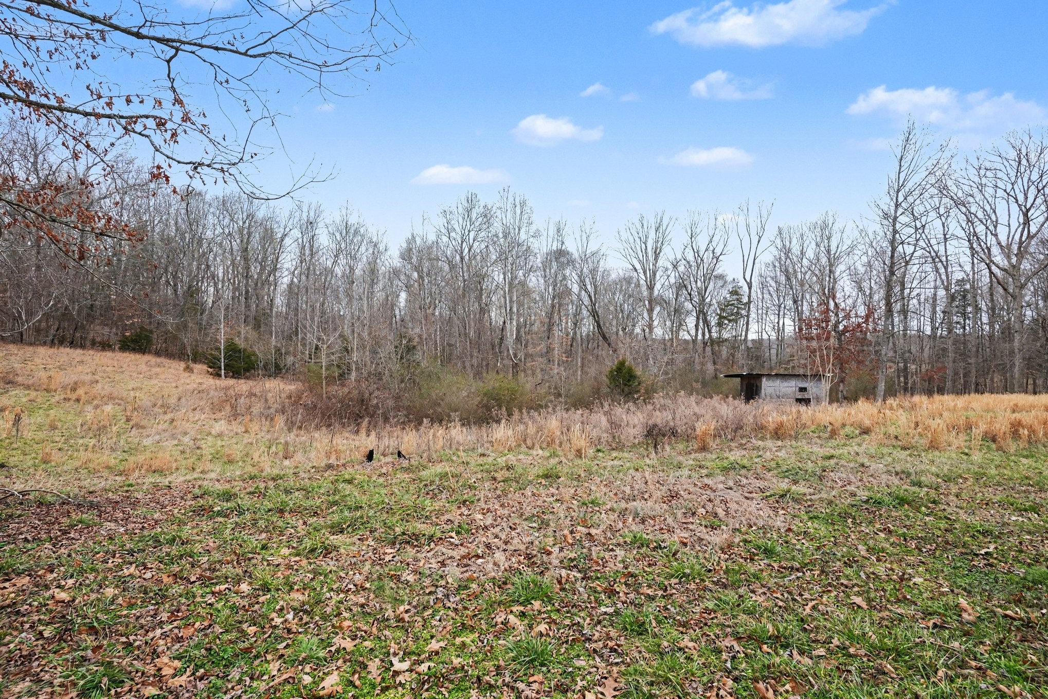 1323 Old Stage Road Charlotte, TN 37036 - Photo 25 of 25 a view of outdoor space and yard
