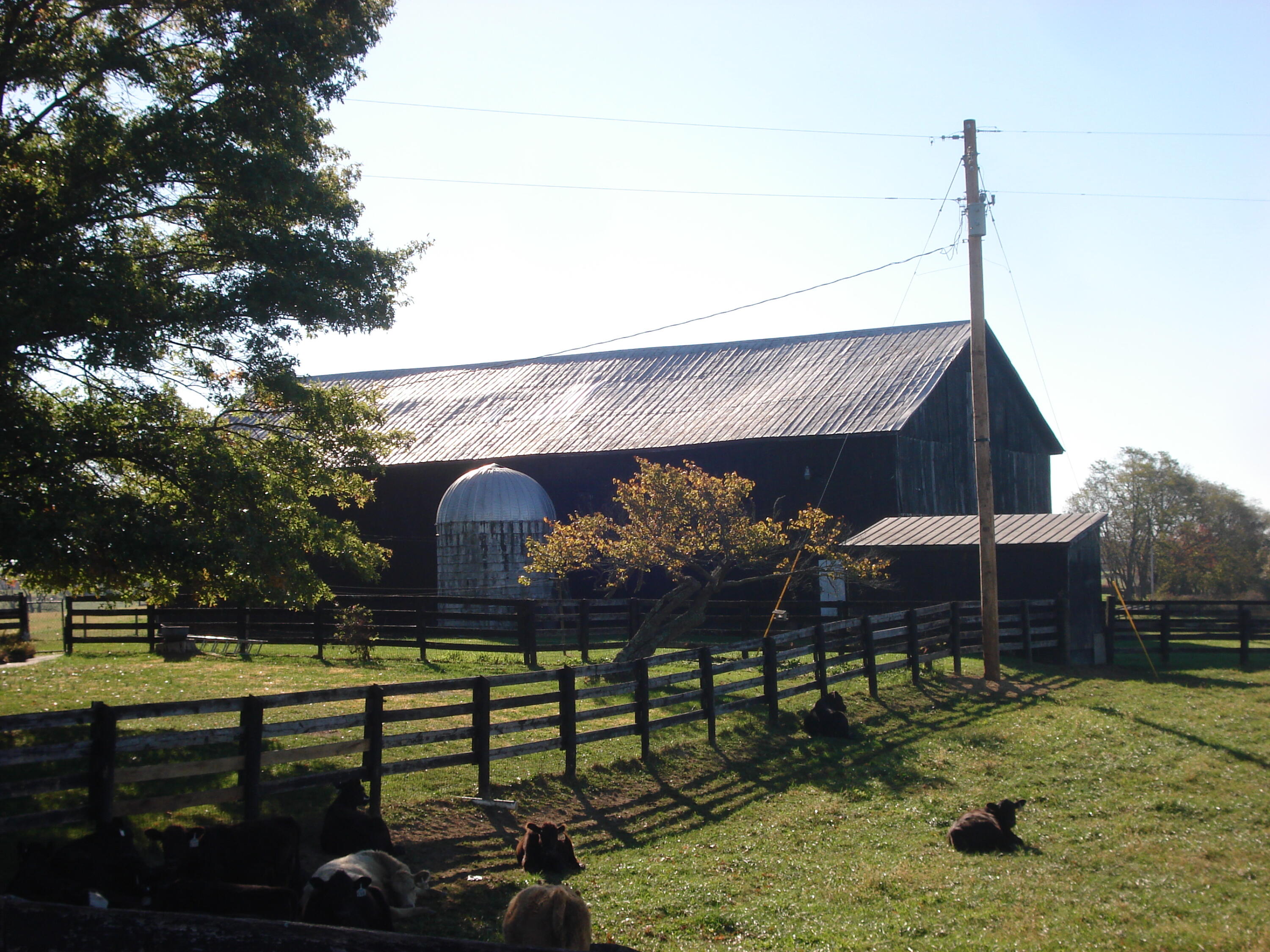 951 Colville Road Paris, KY 40361 - Photo 8 of 22 DSC01290