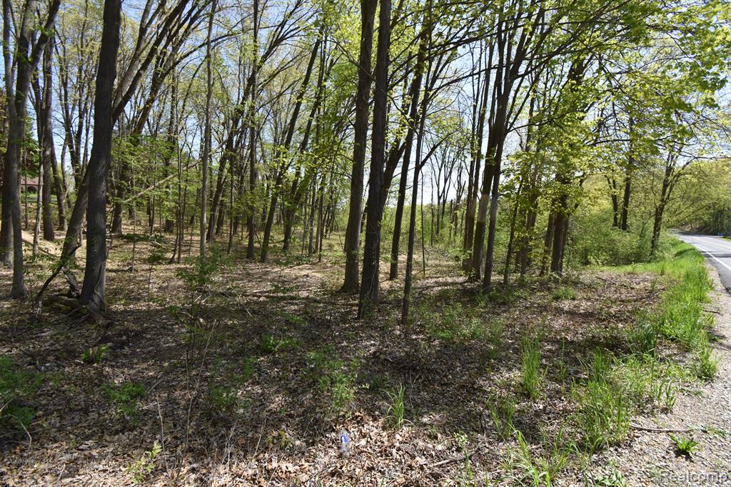 10146 Island Lake Road Dexter, MI 48130 - Photo 2 of 4